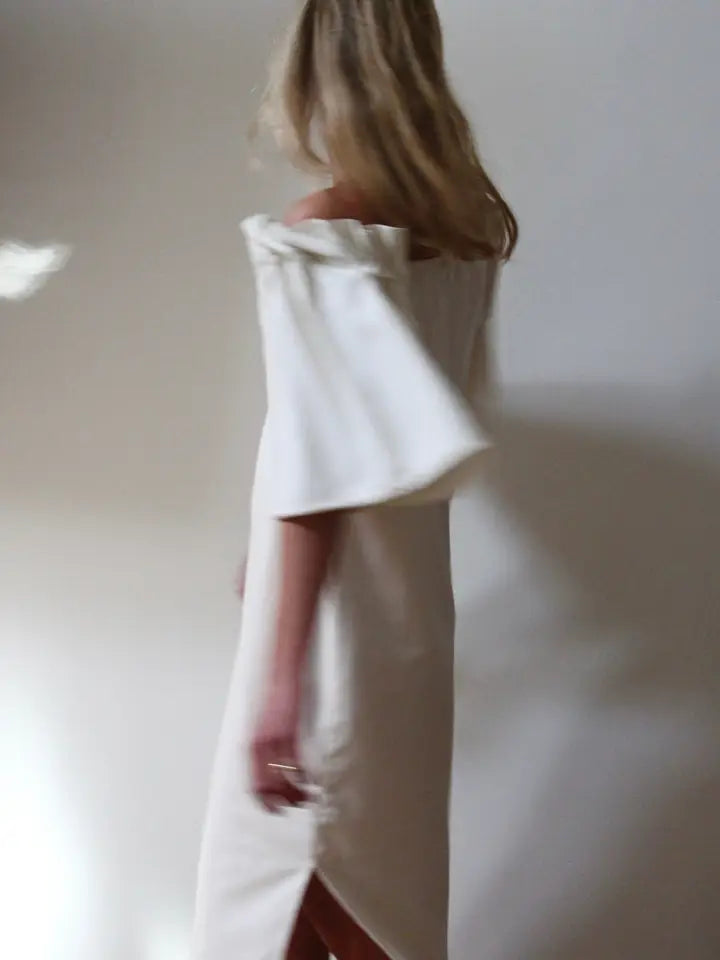 Silk Canvas Dress
